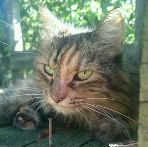 Meet your Posher, Skylar